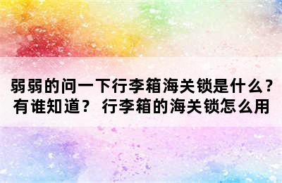 弱弱的问一下行李箱海关锁是什么？有谁知道？ 行李箱的海关锁怎么用